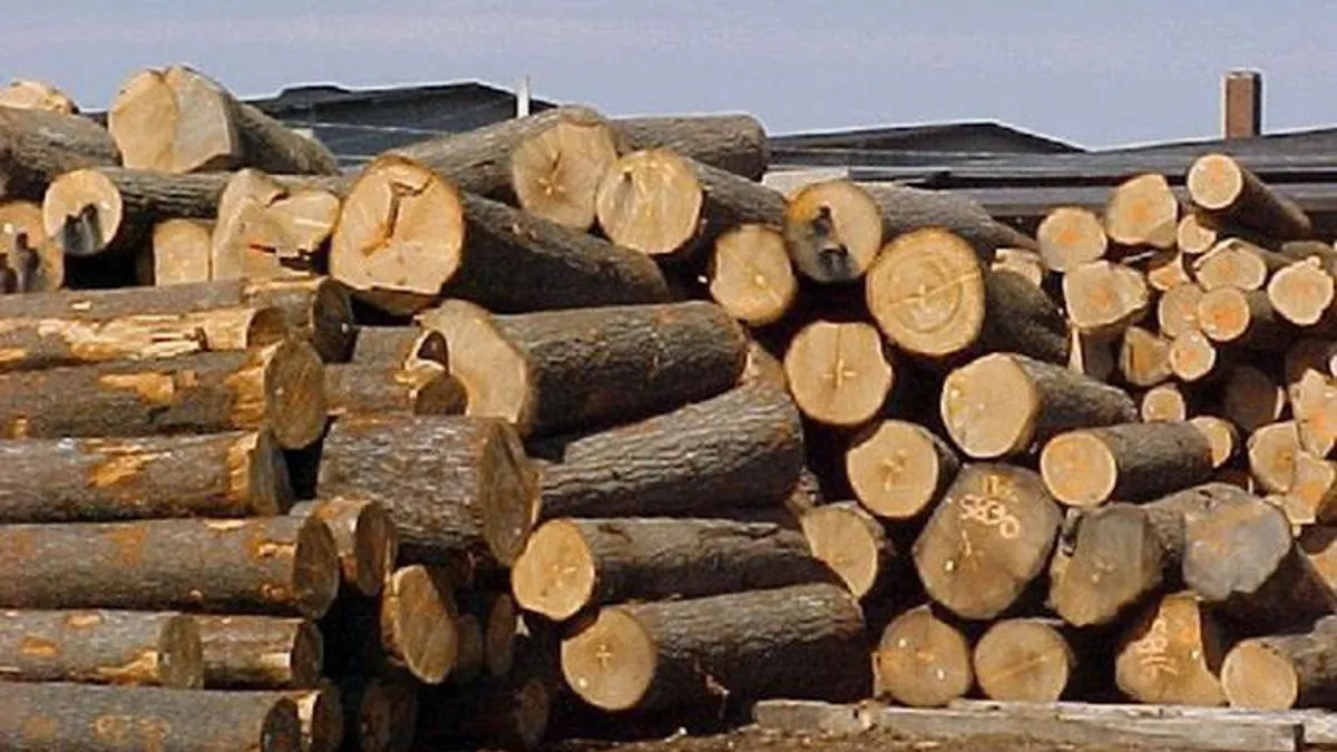 Các văn bản pháp lý liên quan đến xuất khẩu gỗ là gì?