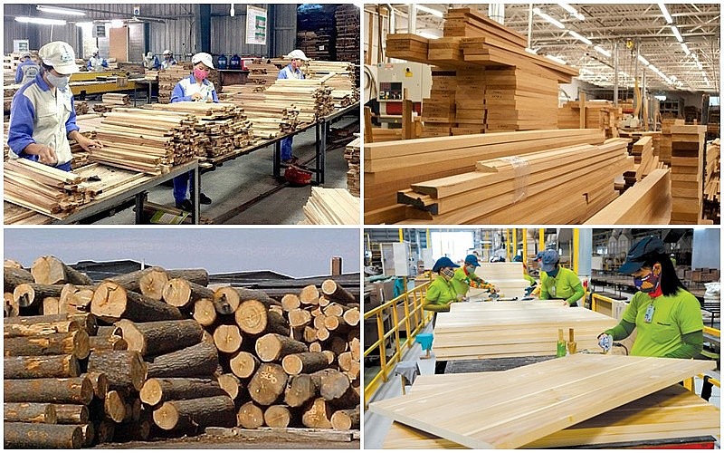 Những lưu ý khi xuất khẩu gỗ và sản phẩm gỗ đến một số thị trường 